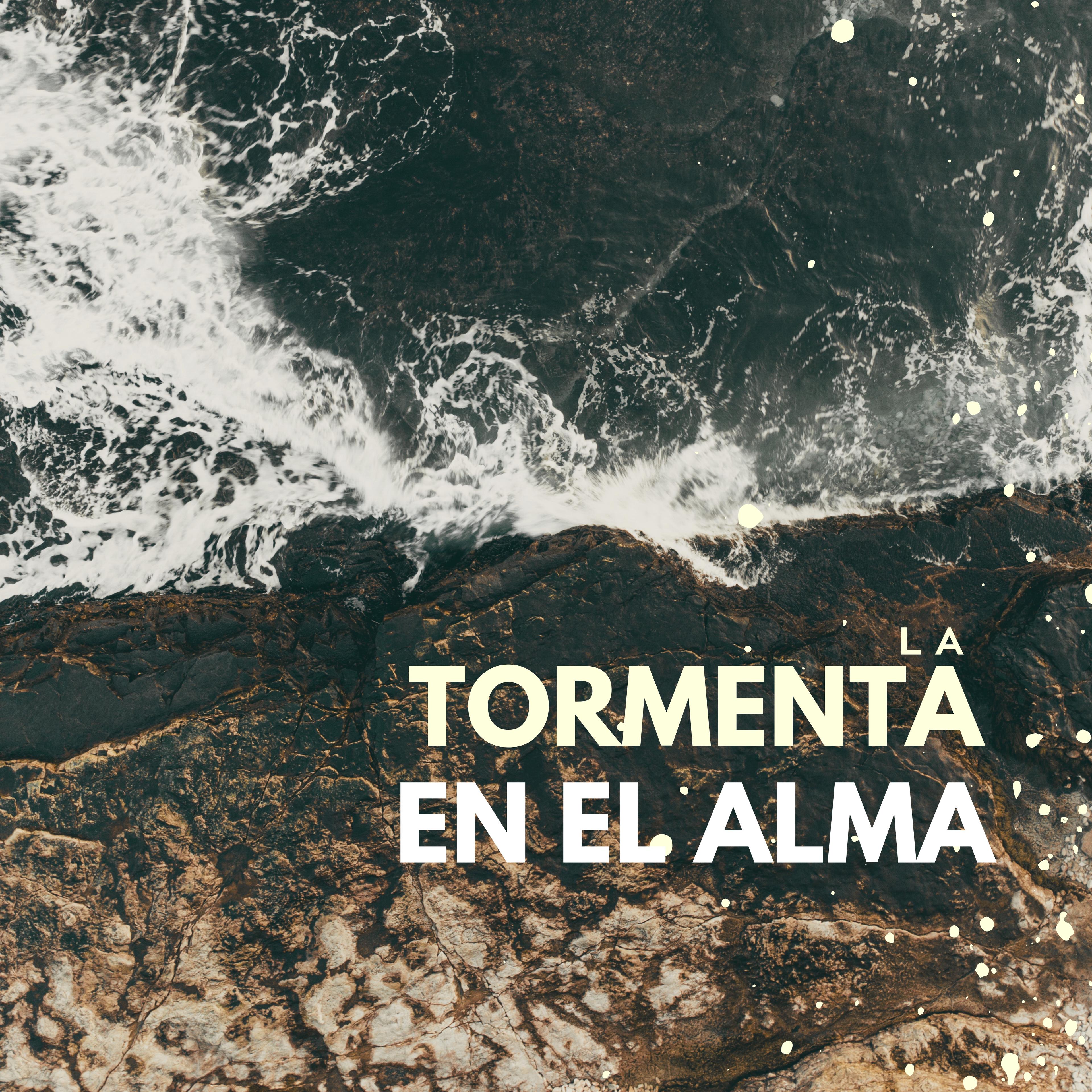 Show poster of Tormenta en el Alma